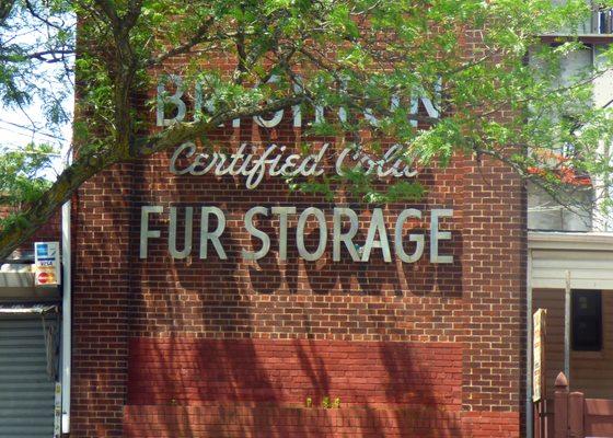 Brighton Fur Storage