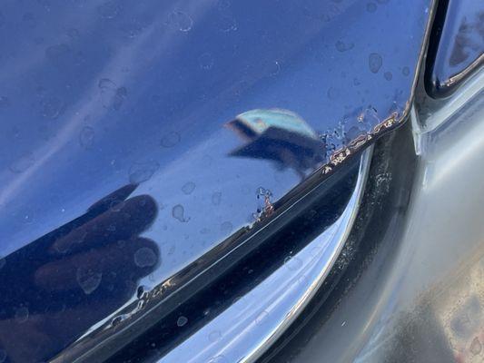 Paint bubbling on hood