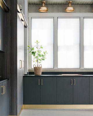 Tall cabinets are ideal for utilizing wasted space, especially in a garage, but can be hard to access.