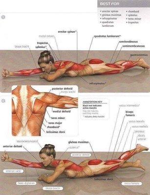 Customized Strength Program