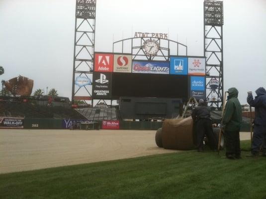 West Coast Turf at AT & T Park.  You can get that SAME sod for your own yard!