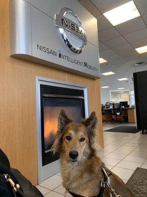 Waiting area- nice warm fireplace and dog friendly!