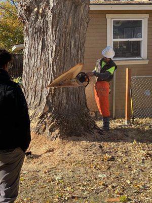 Eastern Tree Service