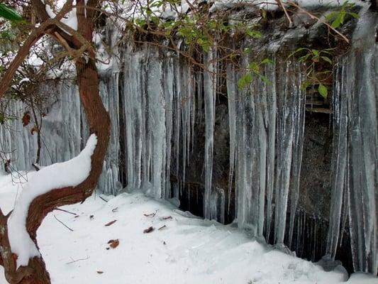 Frozen Laurel Falls