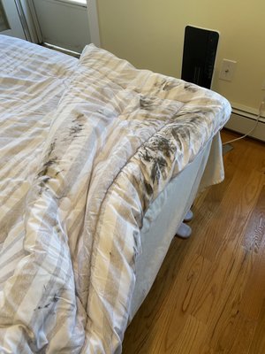 Delivery crew wrecked my comforter while removing old ac