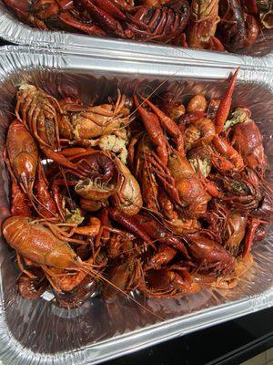 Trash crawfish that stunk up the house