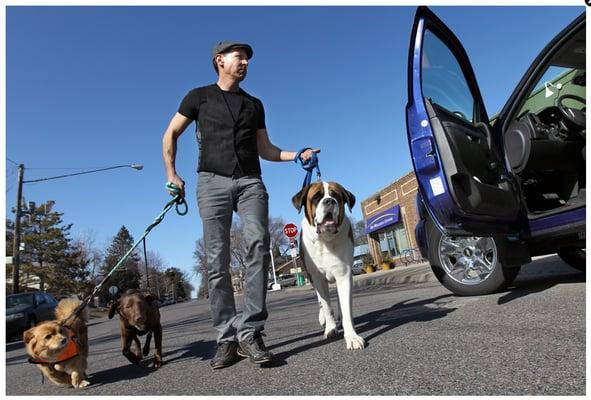 Digger's Pet Taxi. To the groomers, Vet appointments, Airport, everywhere! Let's go!