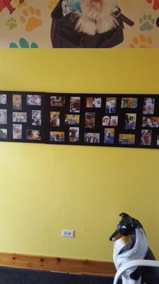 Wall of pictures