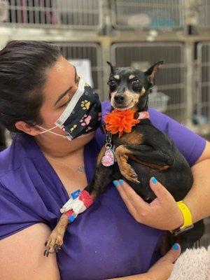 Meghan cuddling a pet before discharge.