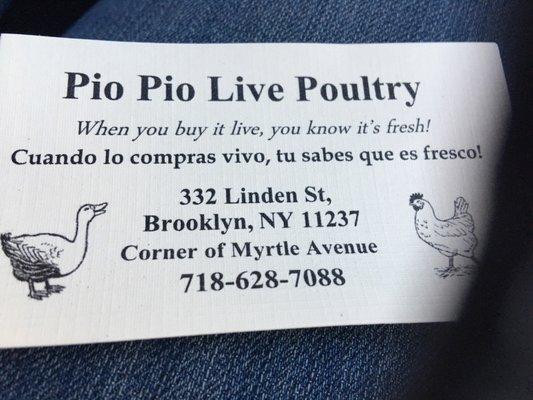 Pio Pio Live Poultry