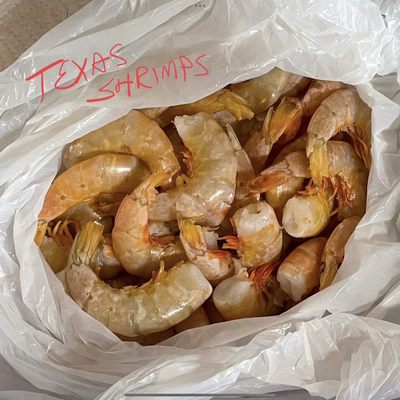 Huge Texas Shrimp from the ice-table near the entrance