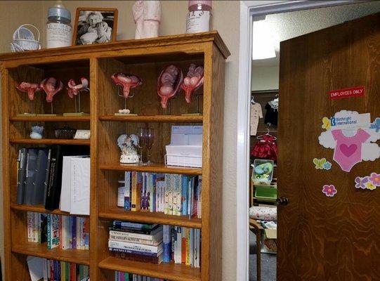 Book case with our library of books and fetal display. Door to our community clothing closet