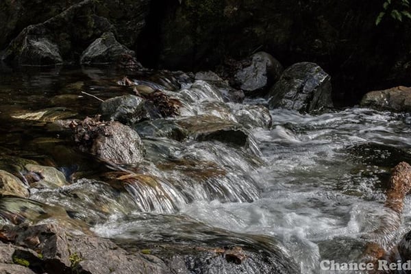 Wild & Scenic Rogue River
 by Chance Reid Photography