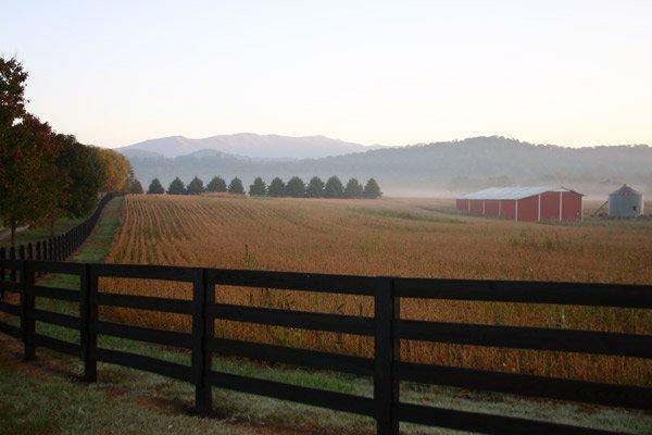 Mountain Farm land