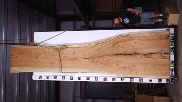 20' Texas Pecan Slab