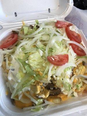 "Gyro Cheese Fries w/ Lettuce, Tomatoes, Onions, and Gyro sauce"