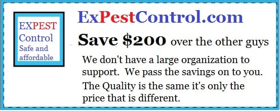 Best Affordable Pest control in Montgomery County MD - Silver Spring MD, Rockville MD, Gaithersburg, MD and Baltimore MD.