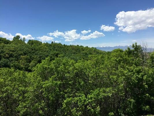 View of the valley