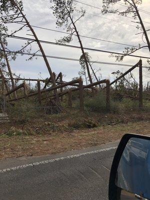 Hurricane Michael Fl