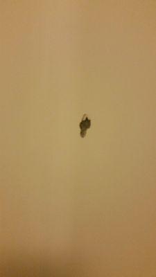 Hole in shower wall