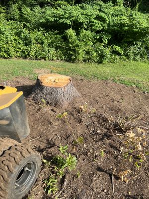 Level Ground Stump Grinding