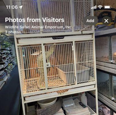 Wildlife Safari Animal Emporium, Inc