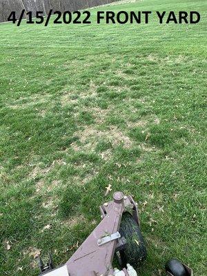 Dead grass - no new grass growing as paid for 8 months later.