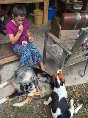 Kids will love eating the boiled peanuts and visiting with the owners dogs :)