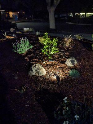 Landscape lighting to keep your yard shining even after the sun goes down. Great added feature for safety and visibilty!