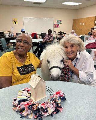 Jbez the minature horse visits with the Cantor Center