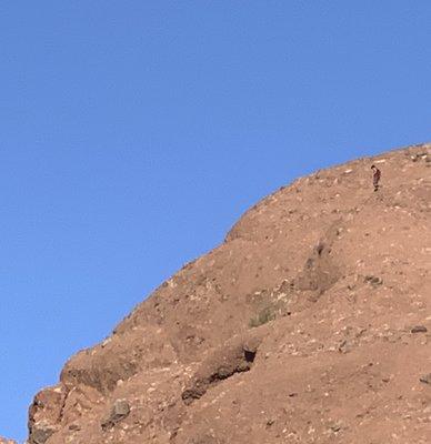 Doesn't this big rock look like a Gigantic Fish's Head?  Dec 12, 2020