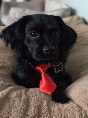 Sweet boy ready for Valentines Day!