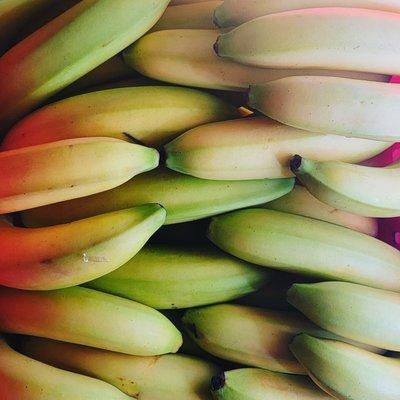 Fresh Fruits and cold drinks