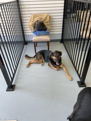 Rocco in a waiting area.