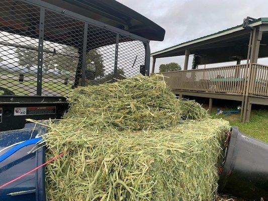 Equestrian Hay Company