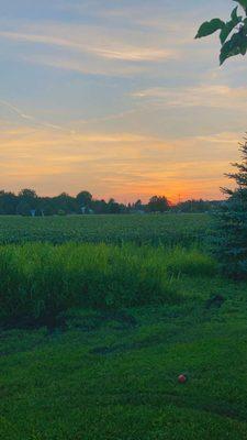 Sunset over farm