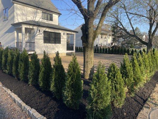 L & L Landscaping