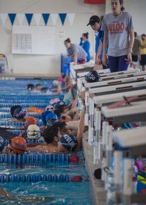 NW Austin competitive swim team