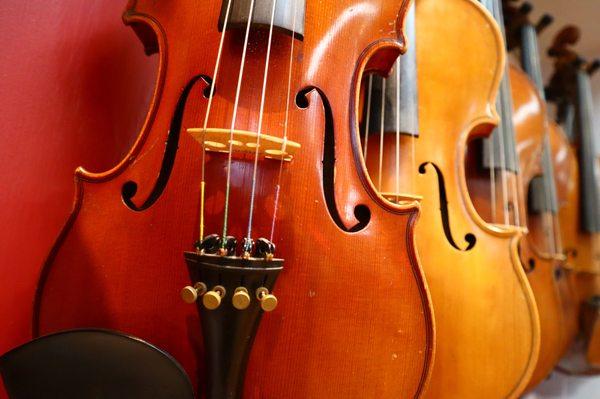 Violin lessons and instrument sales.