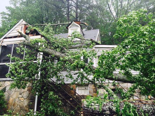 Large sweet gum wind blown onto cars and house. On Sunday. On my birthday. In the rain. 1 of 3