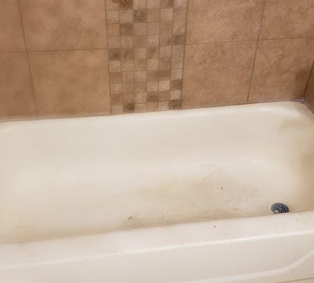 Before cleaning tub