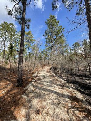 Wide and well-maintained trails make for a more pleasant experience, though the sand offers its own challenges