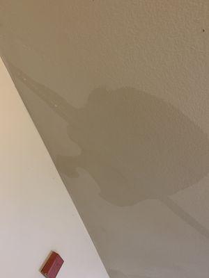 Leaking ceilings