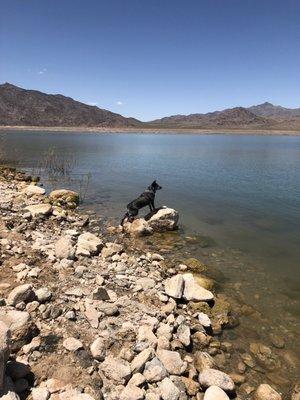 Lake Mead at South Cove