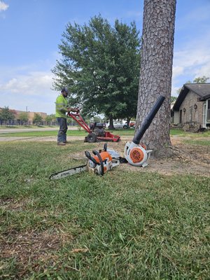 Stump grinding