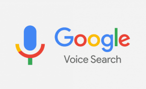 Voice Search Stuart Florida