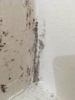 Mold from maintenance not weather-sealing our bedroom after a broken pipe.