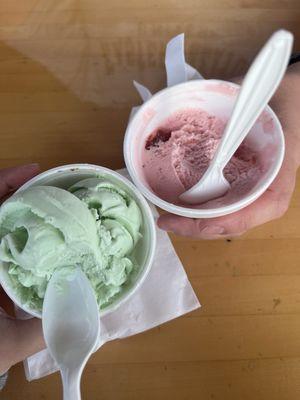 Mint Ice Cream and Strawberry Ice Cream