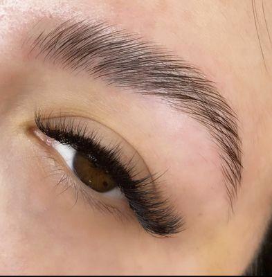 Hybrid Full Set + Brow Lamination