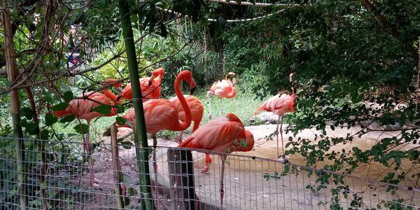 Salisbury Zoological Park